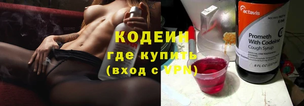 молекула духа Майский