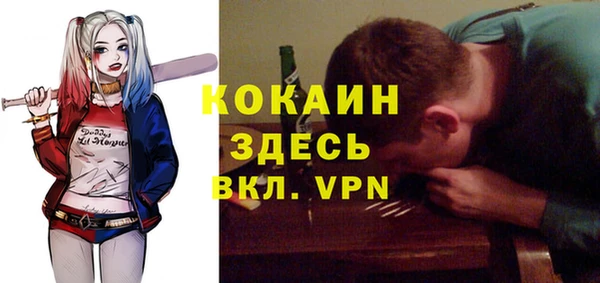 молекула духа Майский