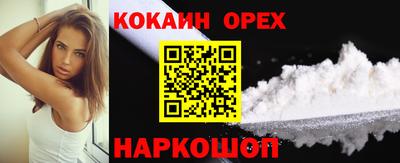 гидра Гатчина