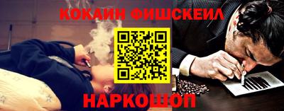 гидра Гатчина