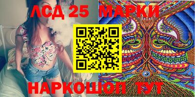 гидра Гатчина