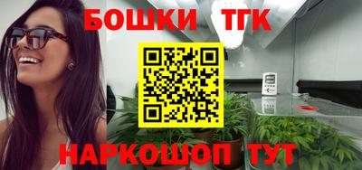 гидра Гатчина