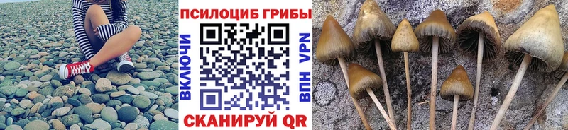 Галлюциногенные грибы Psilocybe  Изобильный 