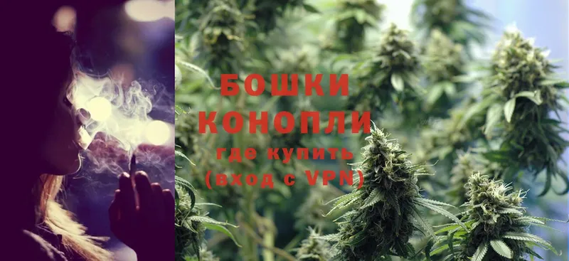 мориарти состав  Изобильный  Марихуана SATIVA & INDICA  наркота 