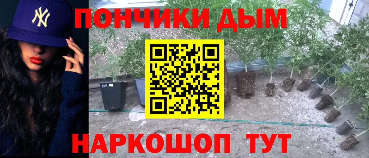 Марихуана Bruce Banner Изобильный